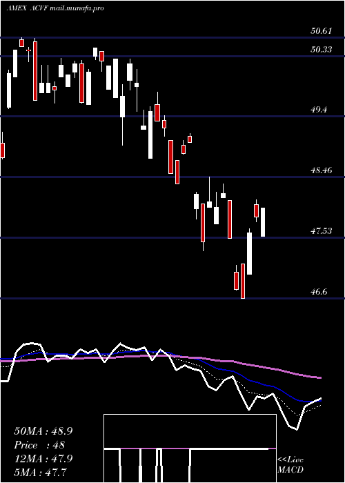  Daily chart AmericanConservative