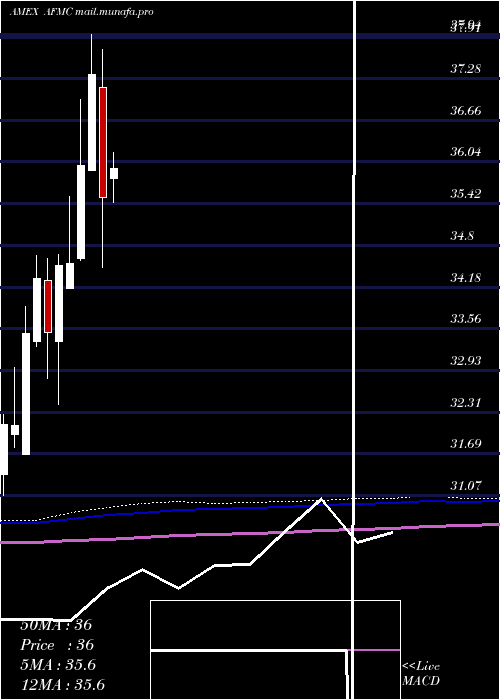  monthly chart FtActive