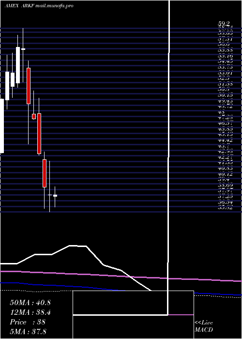  monthly chart ArkFintech