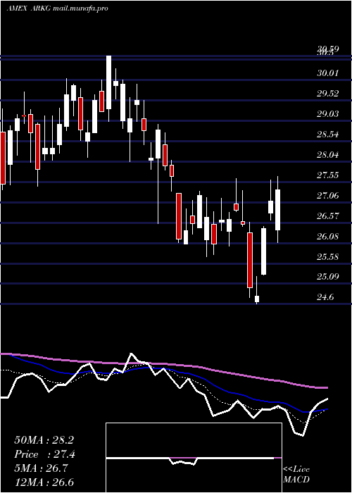  Daily chart ArkGenomic