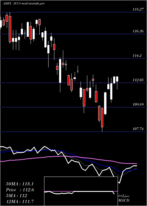  Daily chart AvantisU