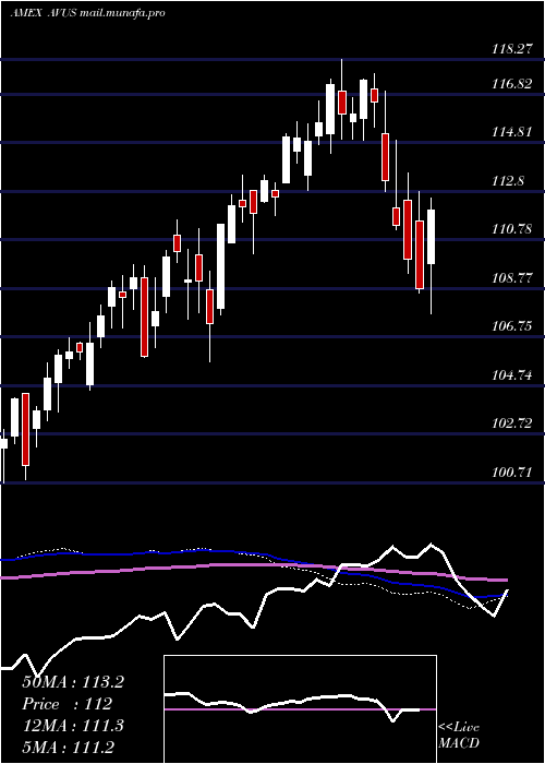  weekly chart AvantisU