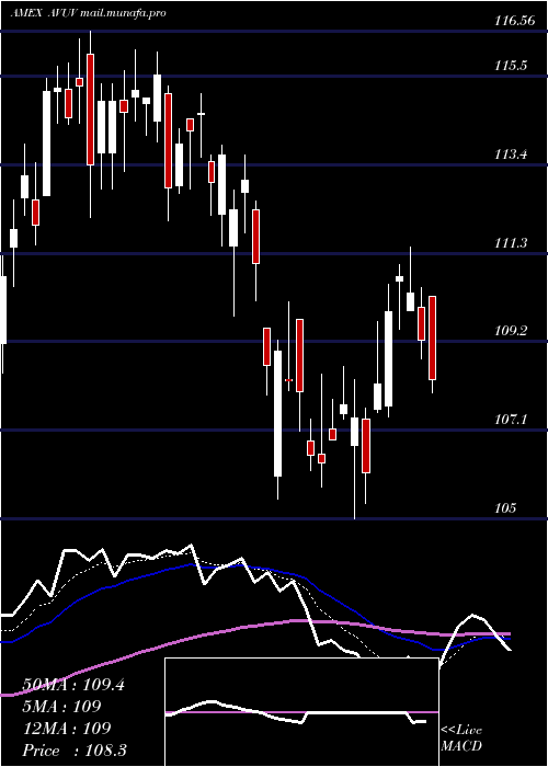  Daily chart AvantisU