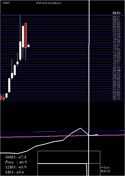  monthly chart DirexionDaily
