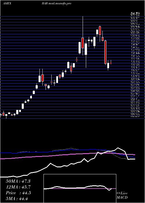  weekly chart DirexionDaily