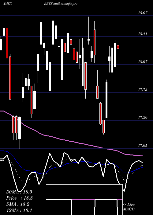  Daily chart RoundhillSports