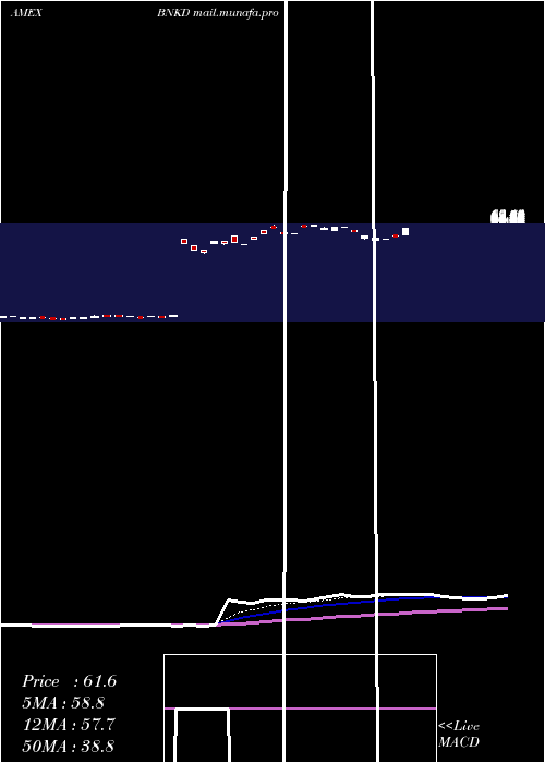  Daily chart Microsectors3x