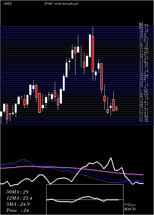  weekly chart Microsectors3x