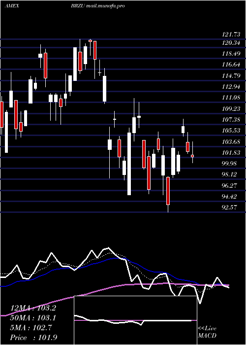  Daily chart DirexionDaily