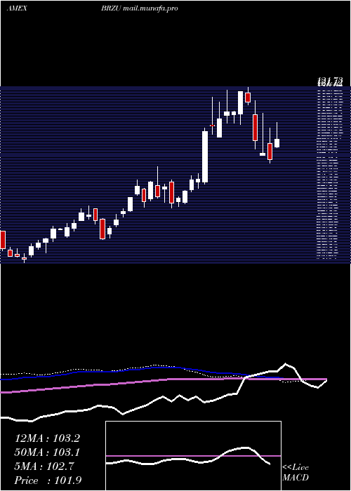  weekly chart DirexionDaily