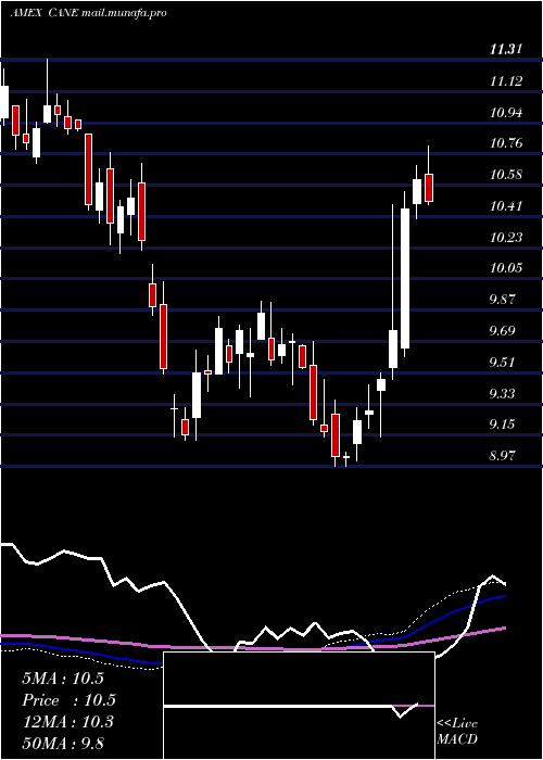  weekly chart TeucriumSugar