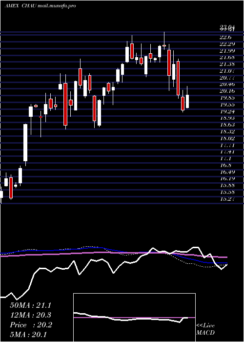  weekly chart DirexionDaily