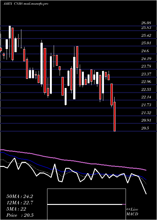  Daily chart AmplifySeymour
