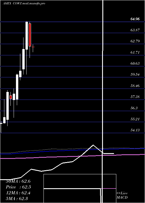  monthly chart PacerUs