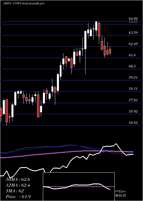  weekly chart PacerUs
