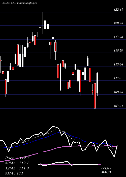  Daily chart SpinfGuggenheim