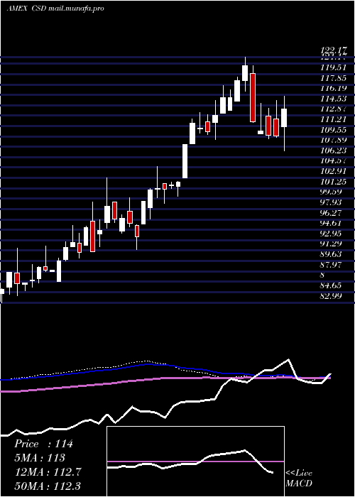  weekly chart SpinfGuggenheim
