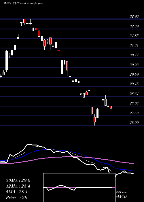  Daily chart TimberGuggenheim