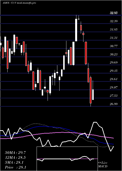 weekly chart TimberGuggenheim