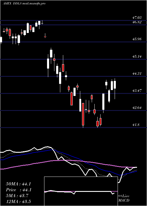  Daily chart WisdomtreeDynamic