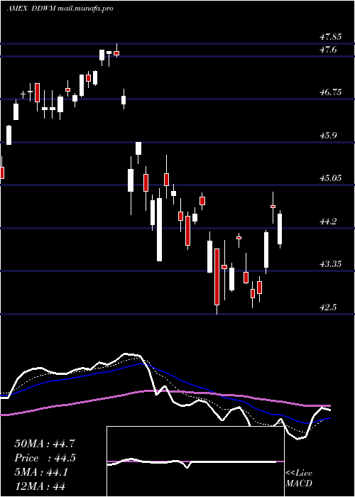  Daily chart WisdomtreeDynamic