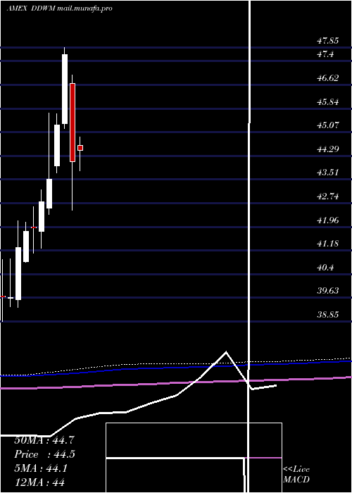  monthly chart WisdomtreeDynamic