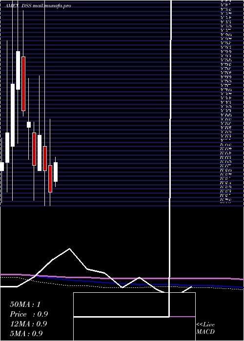  monthly chart DocumentSecurity