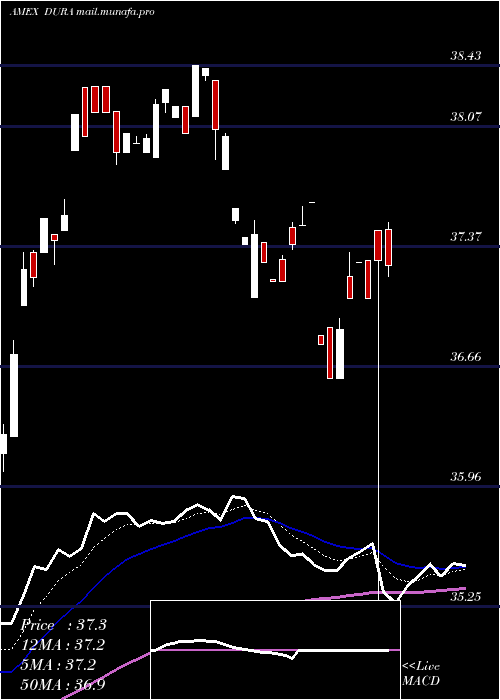  Daily chart VaneckVectors