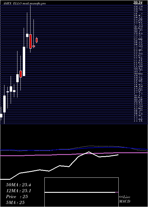  monthly chart EllomayCapital