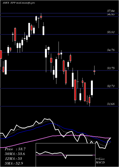  Daily chart PacificEx