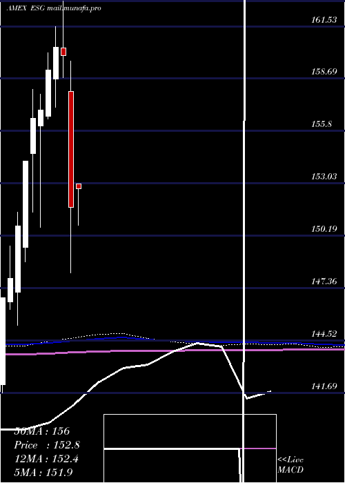  monthly chart FlexsharesUs