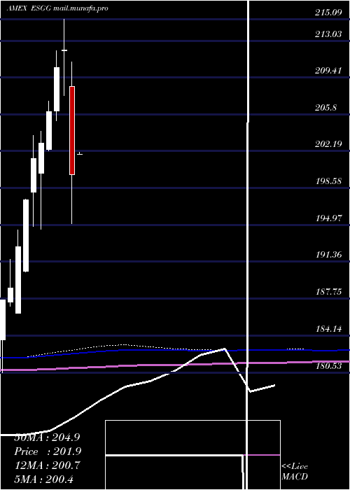  monthly chart FlexsharesGlobal