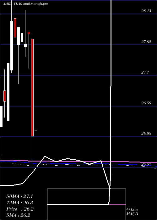  monthly chart ForensicAccounting