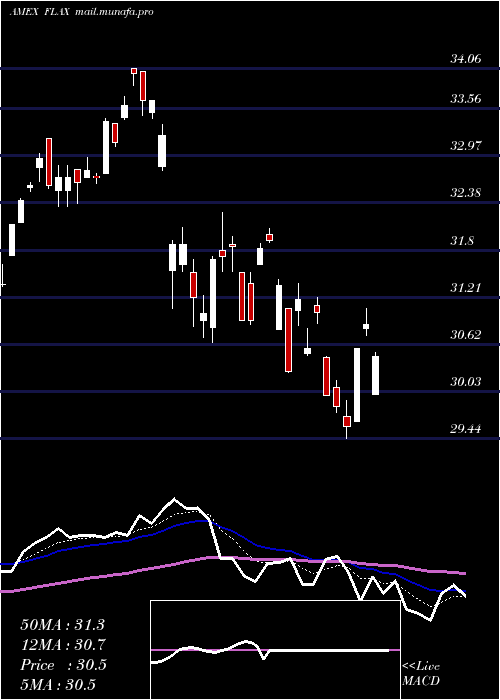  Daily chart FranklinAsia