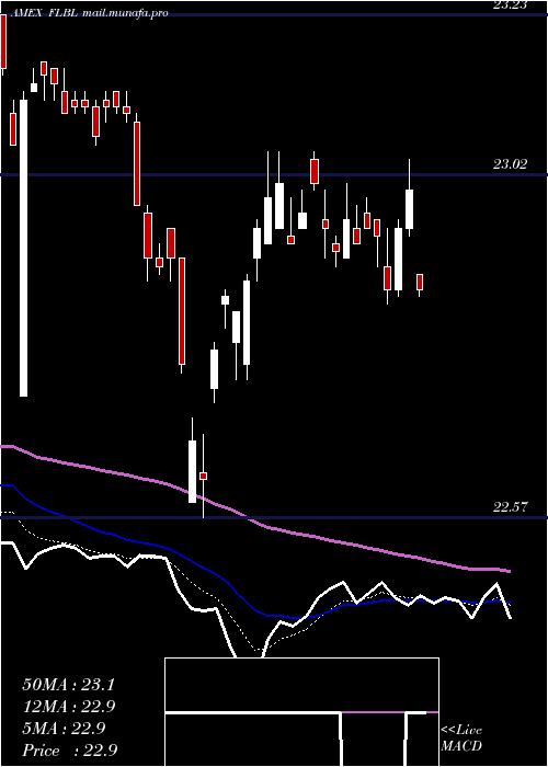  Daily chart FranklinLiberty