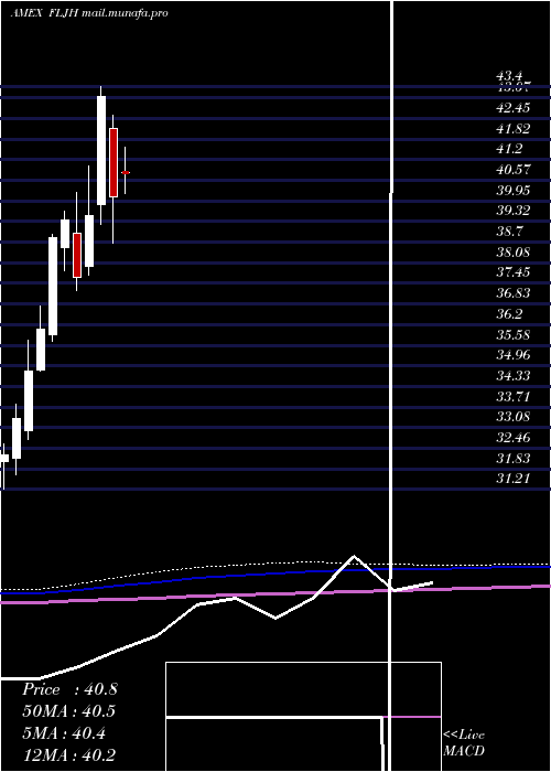  monthly chart JapanHedged