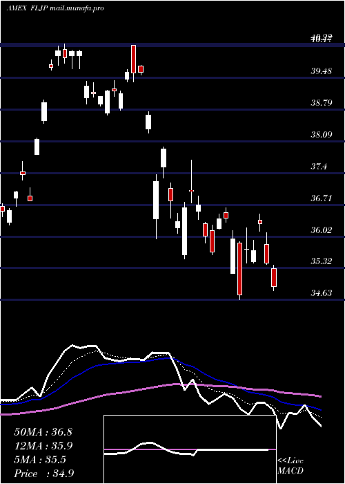  Daily chart JapanFranklin