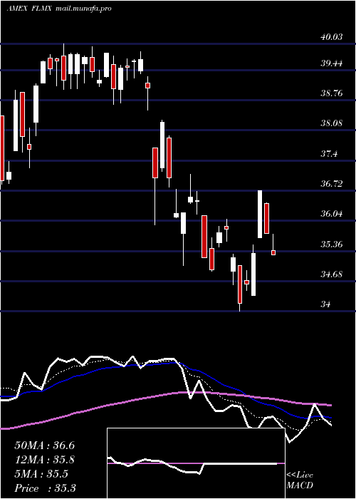  Daily chart MexicoFranklin