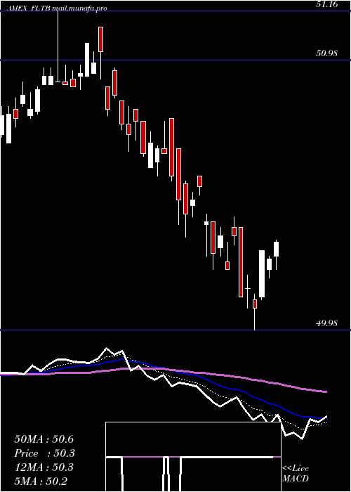  Daily chart FidelityTerm
