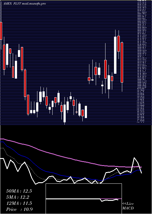  Daily chart FlightTo