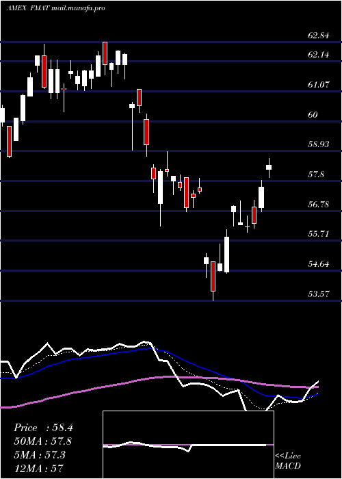  Daily chart FidelityMsci