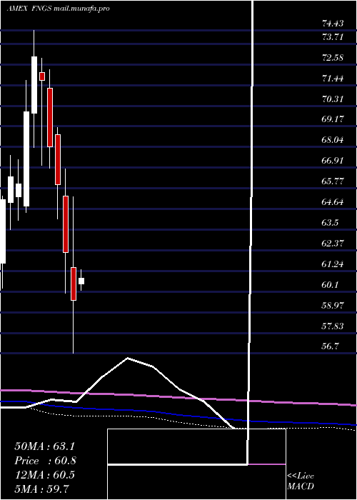  monthly chart MicrosectorsFang