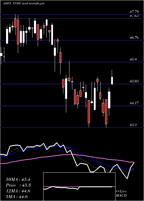  Daily chart FidelitySmall