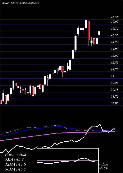  weekly chart PacerGlobal
