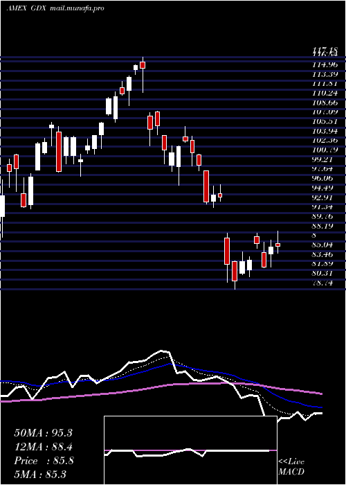  Daily chart GoldMiners
