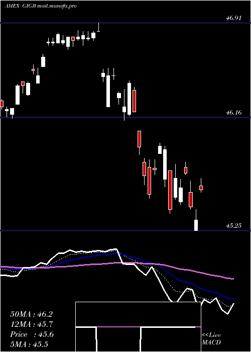  Daily chart GsAccess