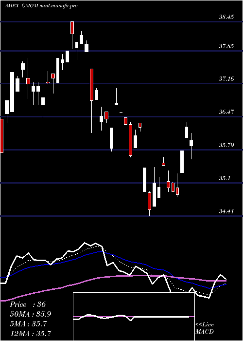  Daily chart CambriaGlobal