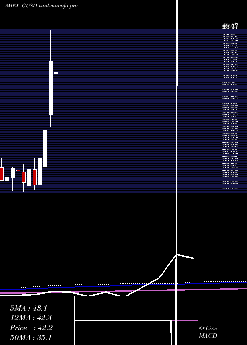  monthly chart DirexionDaily