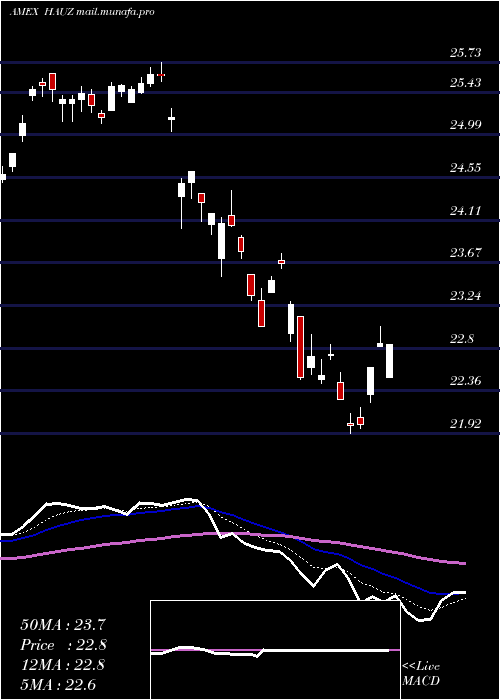  Daily chart XtrackersInternational