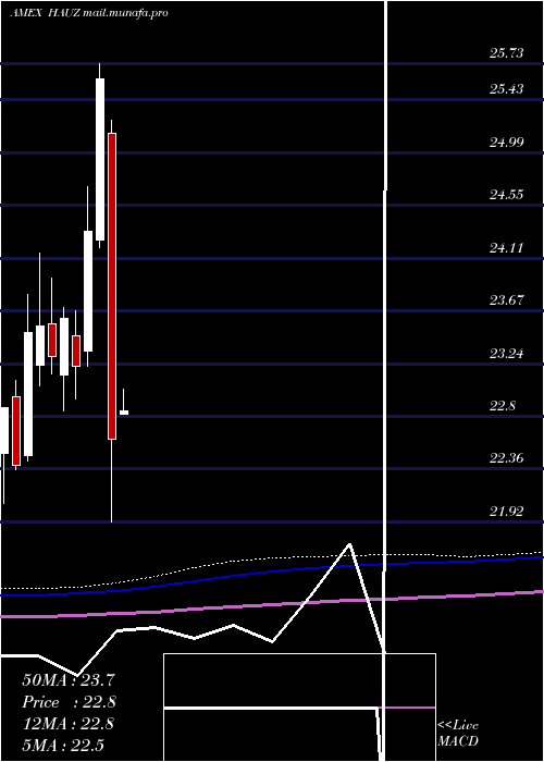  monthly chart XtrackersInternational